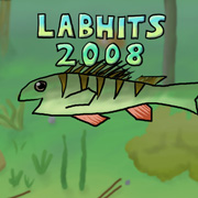 Labhits 2008
